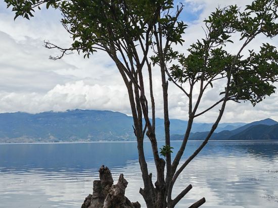 瀘沽湖墨梵精品度假酒店優惠