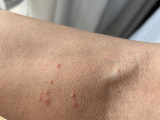 奈揚海灘16號酒店（SHA Extra Plus）優惠