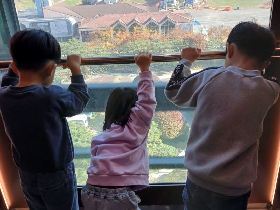 비발디 파크 쿠폰