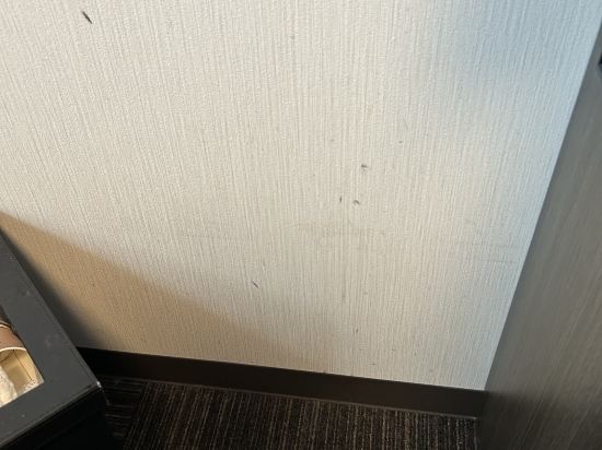 ホテルルートイン豊橋駅前 クーポン