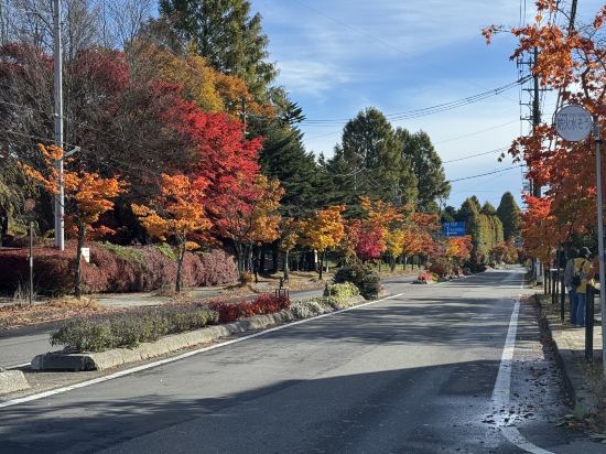 東京上野霍普飯店優惠