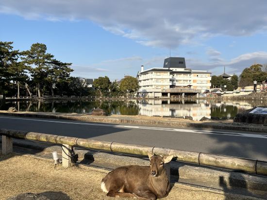 奈良県外国人観光客交流館 (奈良県猿沢イン) クーポン