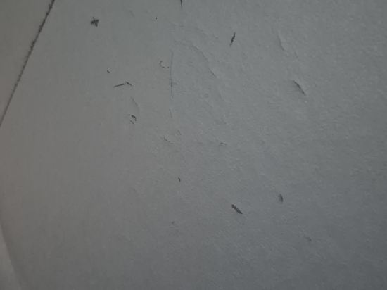 布萊頓朱瑞斯旅館優惠