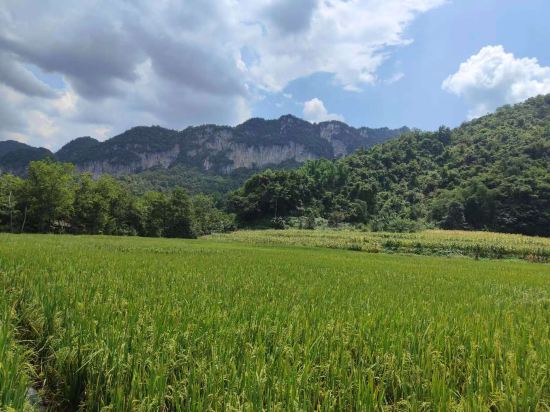 花千築民宿優惠