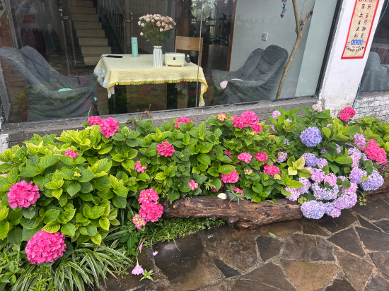 興義莫莫民宿優惠