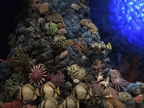 上海浦西萬怡酒店優惠