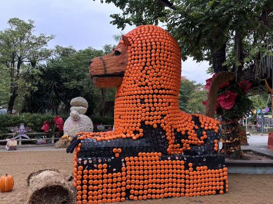 廈門靈玲大飯店優惠