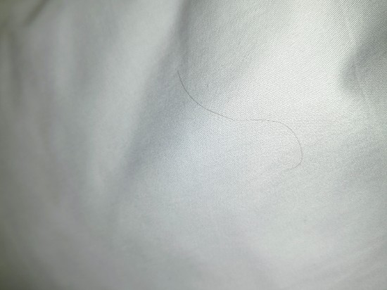 杭州皇逸良渚文化飯店優惠