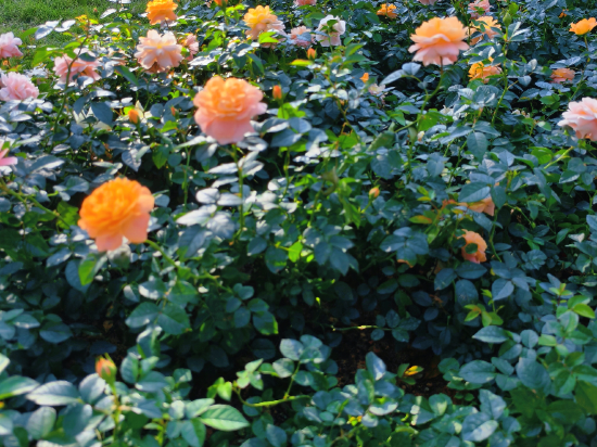 喜悦門酒店（廣州融創文旅城店）優惠