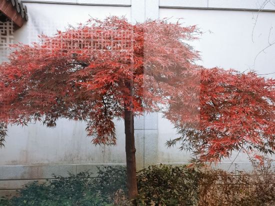 杭州西湖國賓館·西湖第一名園優惠