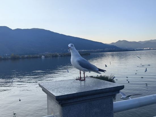 昆明華邑酒店優惠