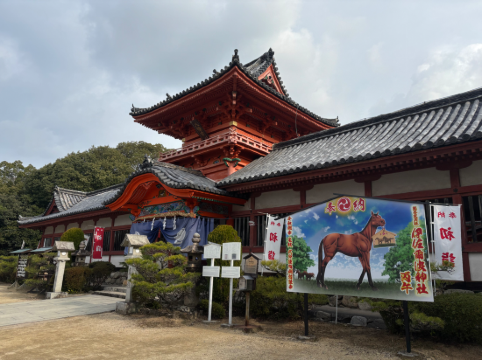 湯快リゾート 道後温泉 道後彩朝楽 クーポン