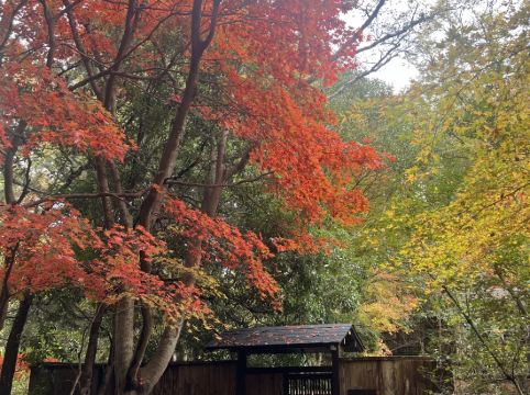 旅館 すみや亀峰菴 クーポン