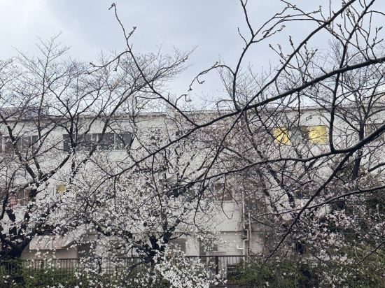 東京王子音樂廳旅舍優惠