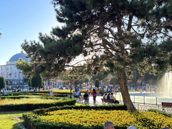 阿魯娜酒店優惠