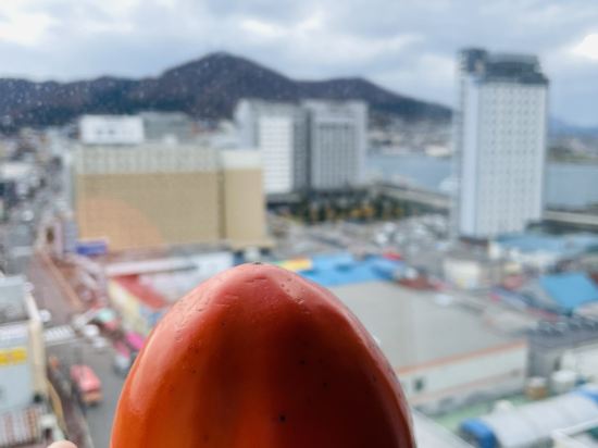 フォーポイントバイシェラトン函館 クーポン