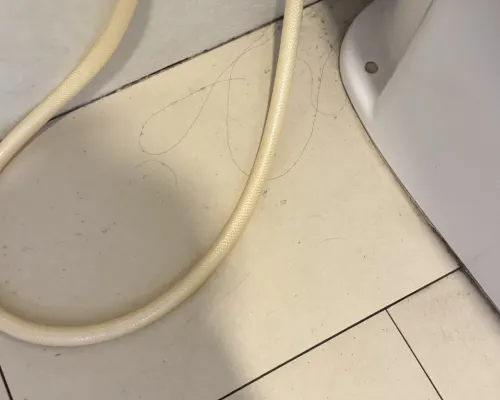 G8 Le Van Sy Hotel Saigon Photos