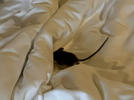 女人海灘工作室 - 全包式酒店優惠