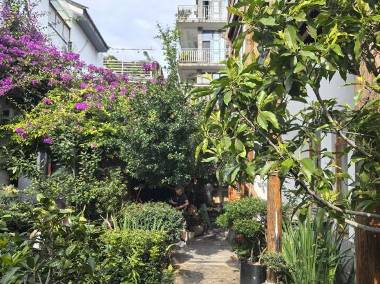 大理雙廊半島了了族親水客棧優惠