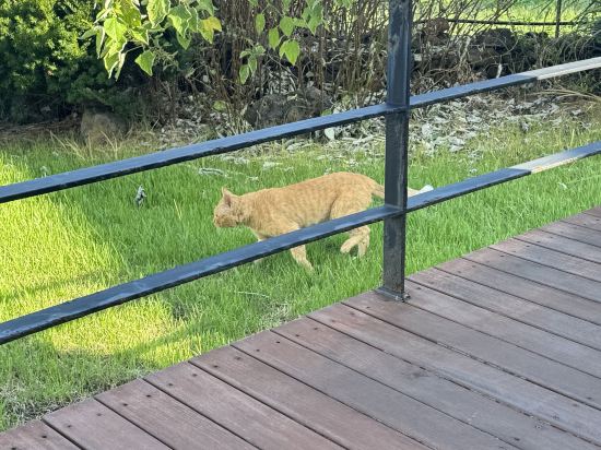 애월바다 타운하우스 쿠폰