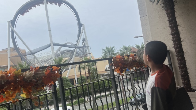 review picture