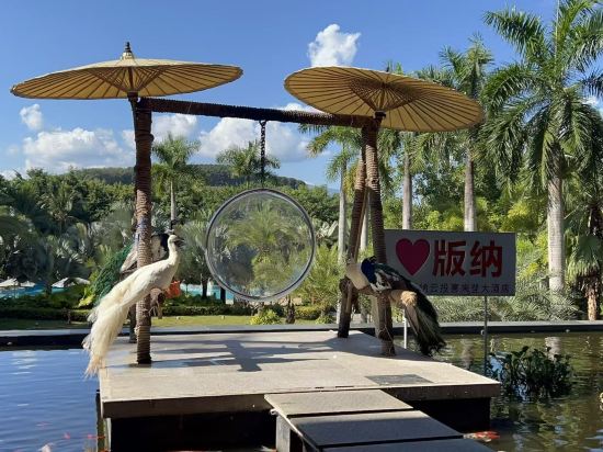 西雙版納雲投喜來登大酒店優惠