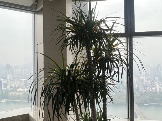 柳州凱悦嘉軒酒店優惠