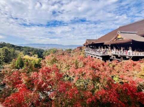 ホテル法華クラブ京都 クーポン