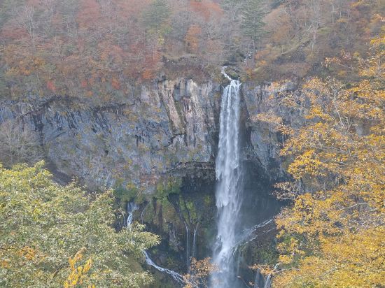 ホテルルートイン宇都宮ゆいの杜 クーポン