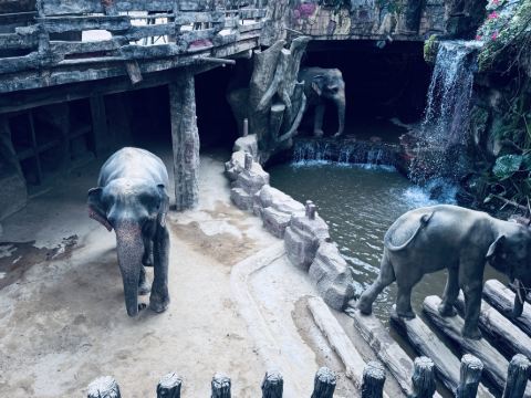 佛山順德長鹿度假村優惠