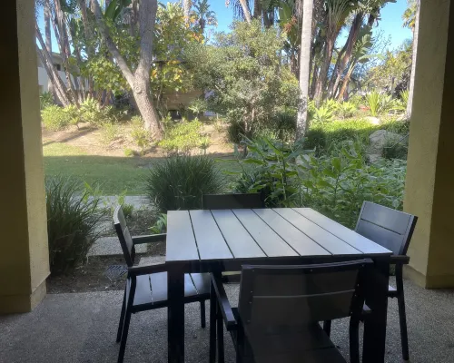 Lemon Tree Inn Photos