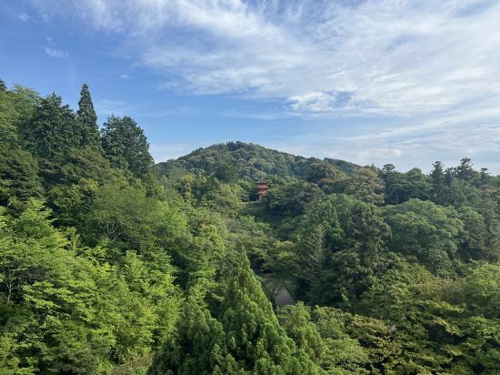 ベッセルホテルカンパーナ京都五条 クーポン