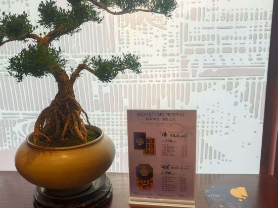 深圳光明中集行政飯店優惠