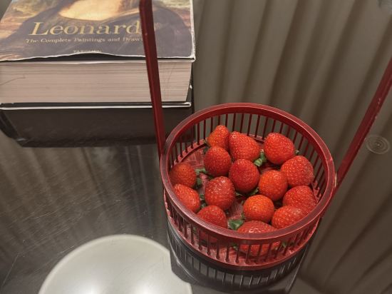 香港朗廷飯店優惠