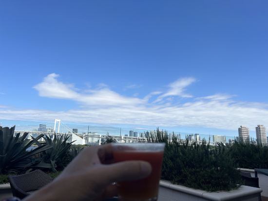 東京台場希爾頓酒店優惠