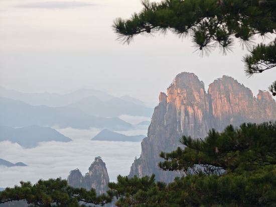 黃山排雲型旅飯店優惠