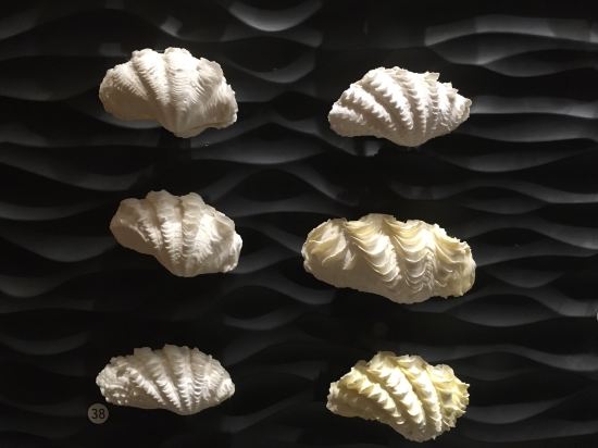 上海浦西萬怡酒店優惠