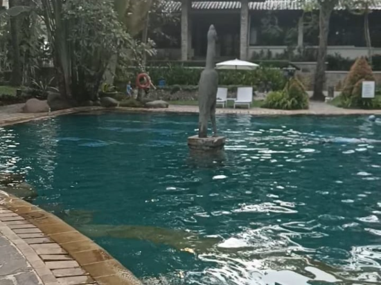 阿里亞力寶村飯店優惠