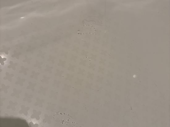 上海波特曼麗思卡爾頓酒店優惠