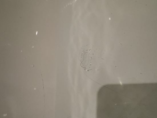 上海波特曼麗思卡爾頓酒店優惠