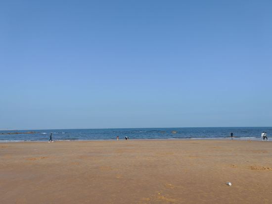 廈門華僑大廈大飯店優惠