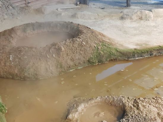 天然温泉白糸の湯ドーミーイン大分 クーポン