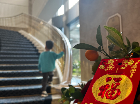 深圳東海朗廷酒店優惠