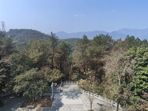 雲浮迎賓館優惠
