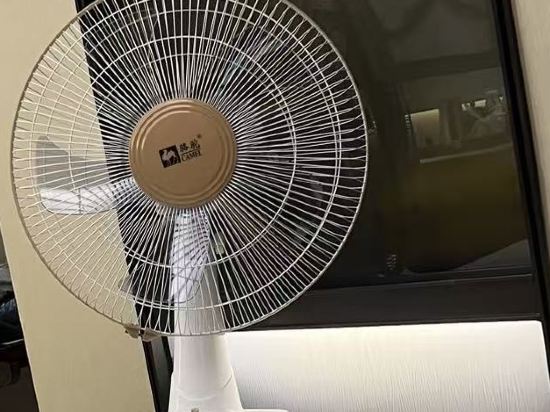 上海青松城大酒店優惠