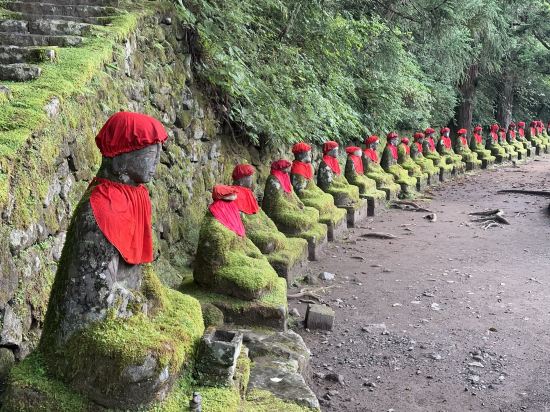 アネックス タートル ほとり庵 クーポン