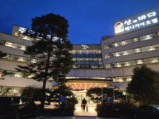 베니키아 호텔 산과바다 주문진 리조트 쿠폰