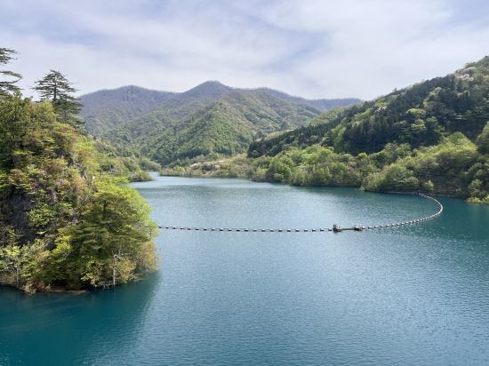 豊島屋 クーポン