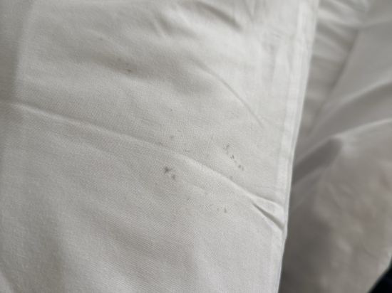 墨爾本銅鑼灣353酒店優惠