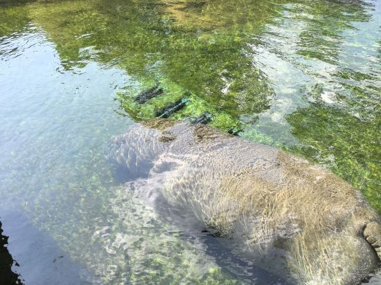JR西日本グループ ヴィアイン大阪京橋 クーポン